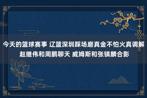 今天的篮球赛事 辽篮深圳踩场磨真金不怕火真调解 赵继伟和周鹏聊天 威姆斯和张镇麟合影