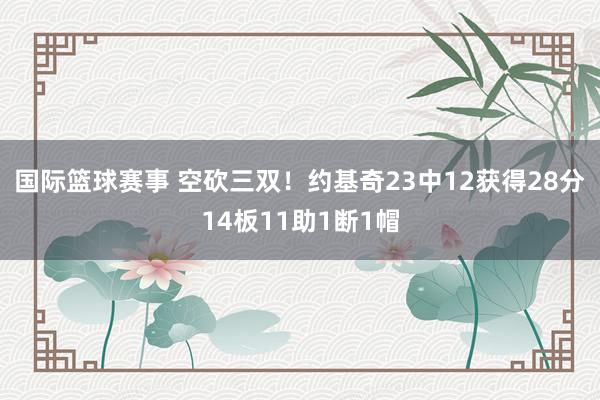 国际篮球赛事 空砍三双！约基奇23中12获得28分14板11助1断1帽