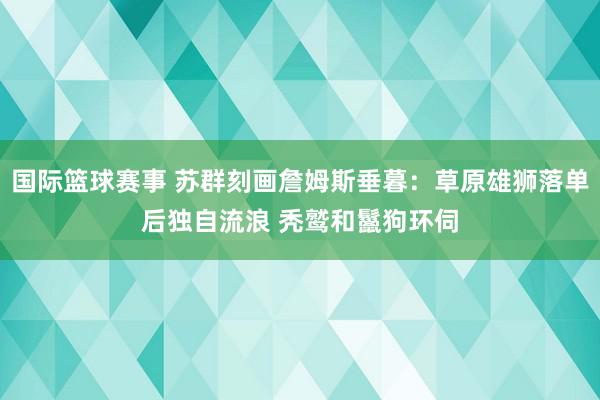 国际篮球赛事 苏群刻画詹姆斯垂暮：草原雄狮落单后独自流浪 秃鹫和鬣狗环伺